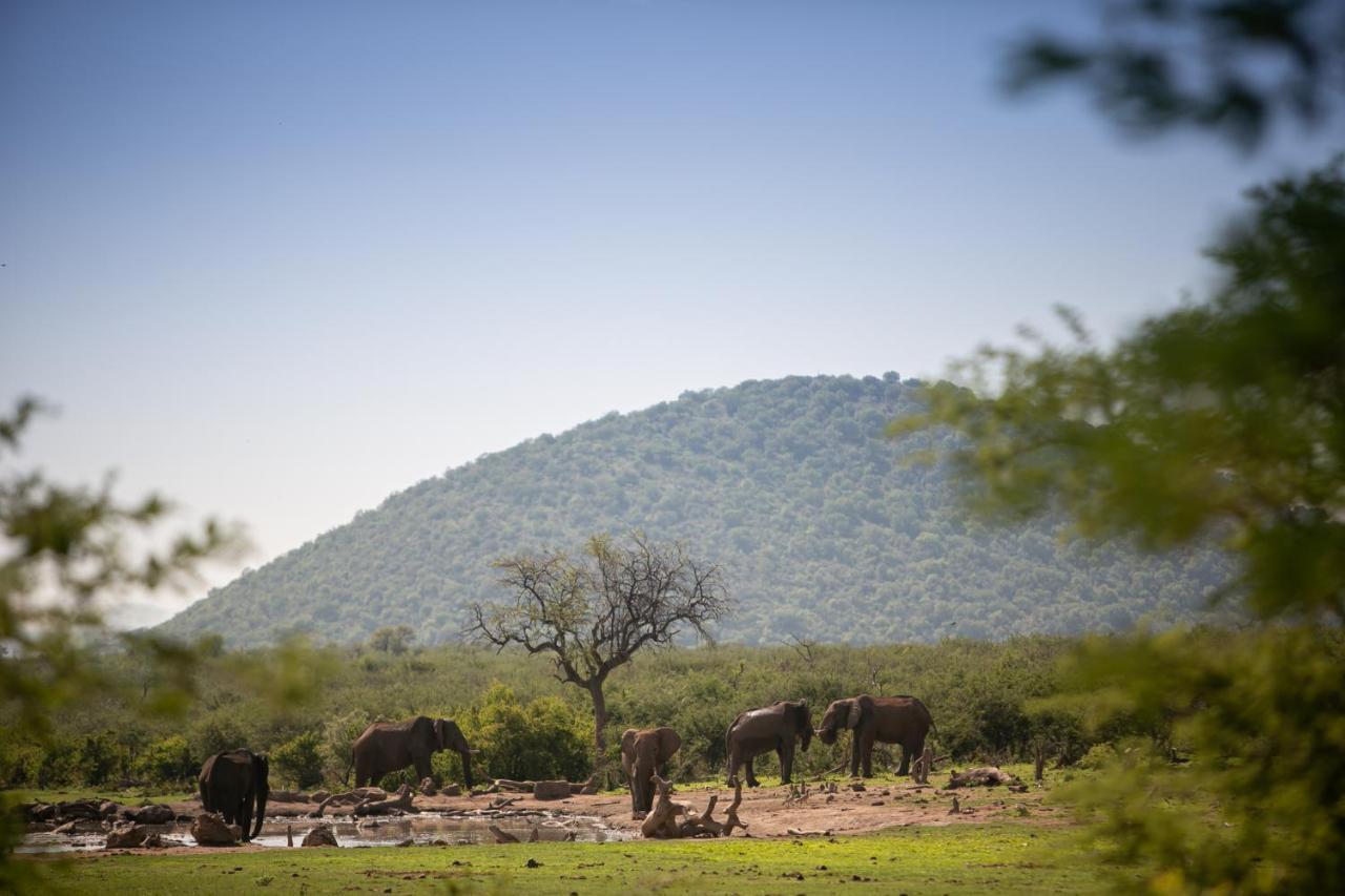 فيلا محميّة ماديكوي الطبيعيّة للطرائدفي جامالا ميديكوي المظهر الخارجي الصورة