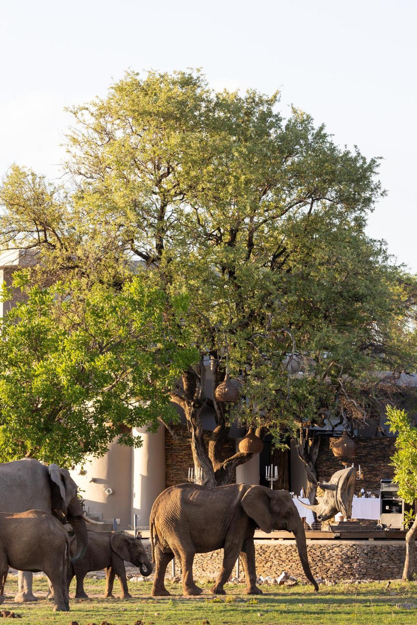فيلا محميّة ماديكوي الطبيعيّة للطرائدفي جامالا ميديكوي المظهر الخارجي الصورة